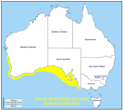 aire de répartition lion de mer australien