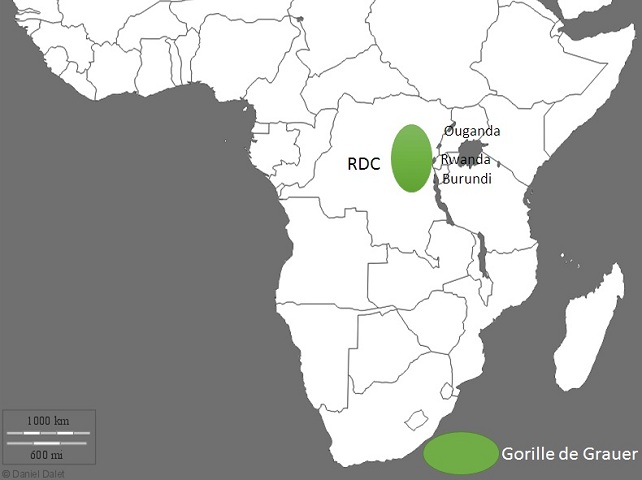 Aire de répartition du gorille des plaines de l'Est