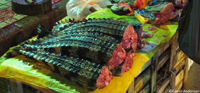 Viande d'alligator