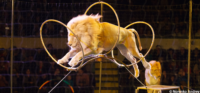 Faune sauvage captive en France