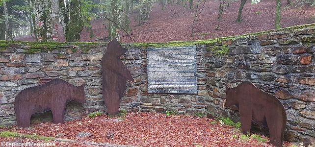 Site de relâcher des ours à Melles