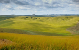 parc national Congo-Brazzaville