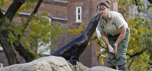 Zoo New York WCS