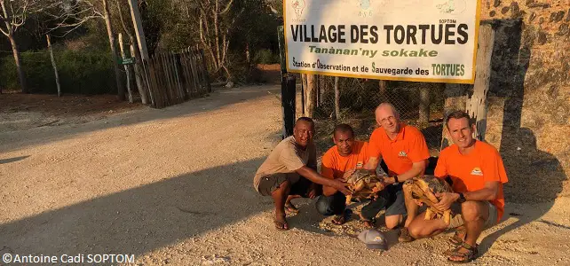 Réintroduction de tortues rayonnées à Madagascar