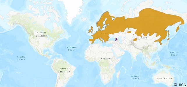 Aire de répartition de l'écureuil roux