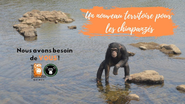 agrandissement projet primates