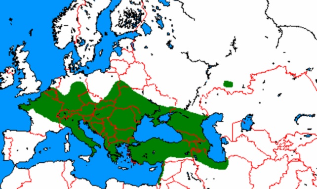 Aire de répartition de la musaraigne bicolore