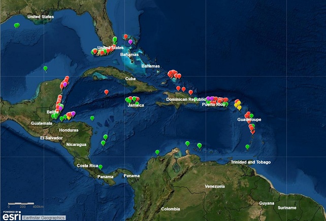 Propagation de la maladie qui décime les coraux des Caraïbes