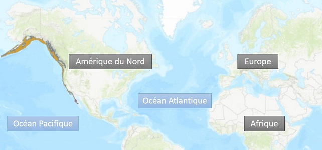 Localisation de l'étoile de mer tournesol