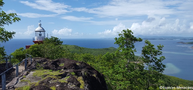 Presqu'île de la Caravelle en Martinique