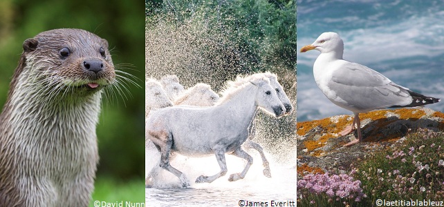 Les réserves de biosphère en France