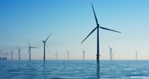 Les impacts de l'éolien offshore sur la biodiversité