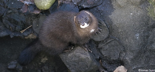 La France présente sa stratégie nationale biodiversité 2030