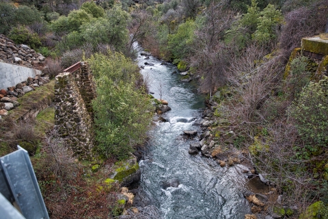 Vue aérienne d'un ruisseau bordé d'arbres