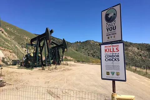 Deux grands panneaux avec des informations sur les condors de Californie