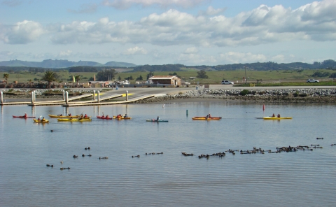 Kayakistes sur l'eau