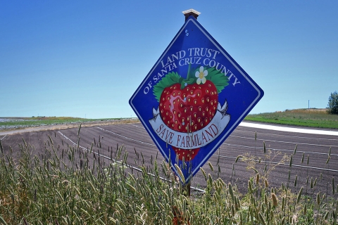 Un panneau bleu avec une grosse fraise dessus