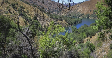 Photo de paysage d'une rivière avec une colline boisée en arrière-plan.