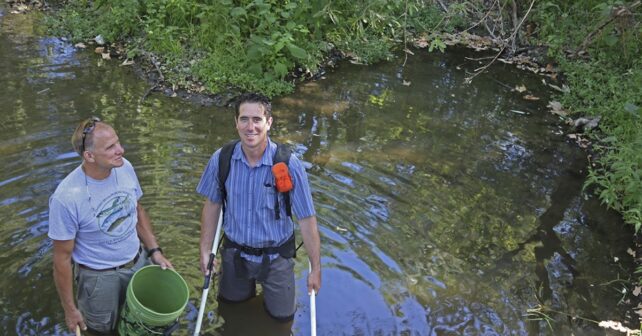 Bottes dans l'eau