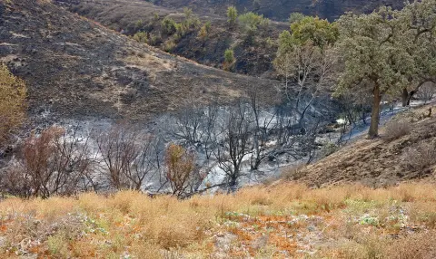 Une rivière coulant à travers une montagne brûlée