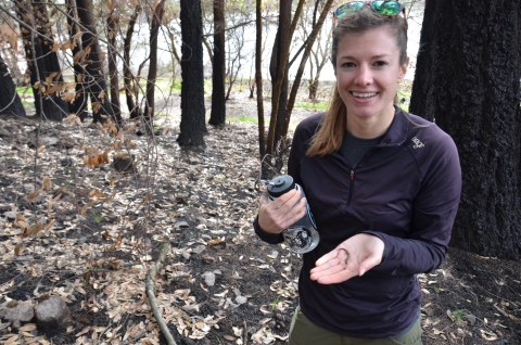 Une femme tient une petite salamandre dans sa main.  Il mesure environ 2 pouces de long avec de petites pattes et de petits pieds.