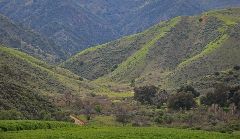 Une vallée verte