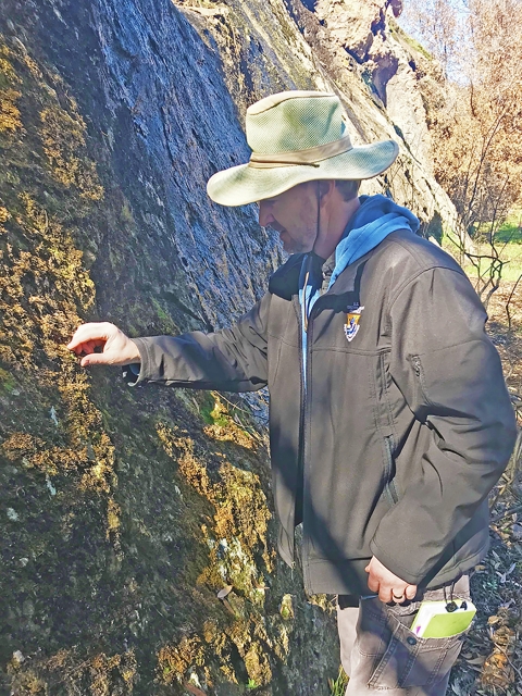 Un homme regarde une petite plante qui pousse sur le flanc d'un rocher.