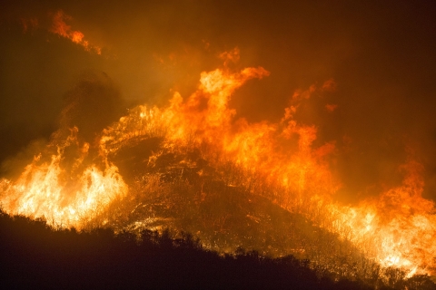 Un grand feu ardent