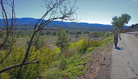 Un homme marchant sur le bord d'une route