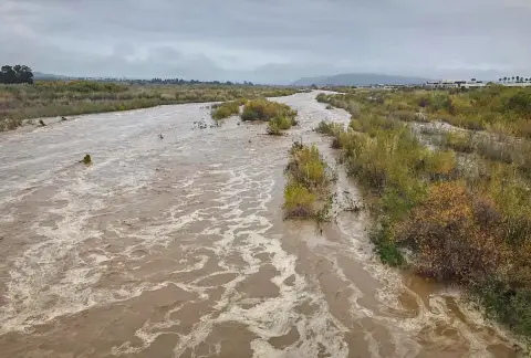 Une rivière inondée d'eau