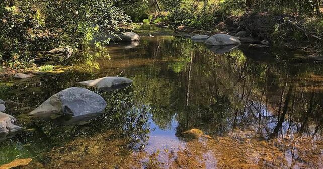 Il reste une rivière : épargnée par le développement, la rivière Santa Clara reste la seule rivière sauvage du sud de la Californie