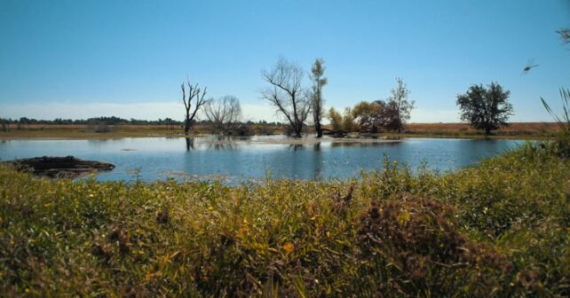 Créer un héritage pour le sud de Sacramento