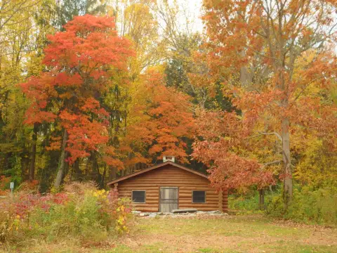 une cabane en bois nichée dans un bois coloré
