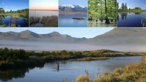 Un collage de divers plans d'eau autour du National Wildlife Refuge System