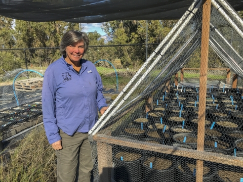 Une femme debout à côté de pots de plantes