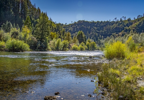 un paysage d'une rivière avec des collines couvertes d'arbres en arrière-plan