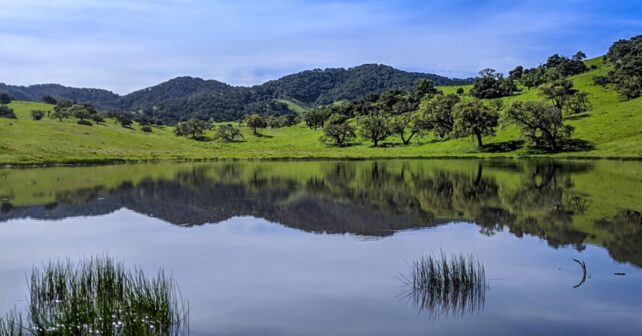 Op-ed: Préserver un héritage de conservation pour les générations futures dans le comté de Santa Barbara