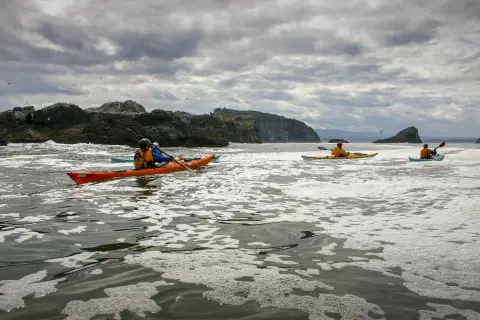 quatre personnes faisant du kayak dans l'océan par temps nuageux