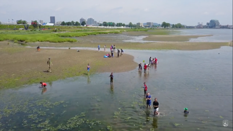 Certaines personnes pataugeant dans les eaux côtières.  En arrière-plan, vous pouvez voir un paysage urbain.