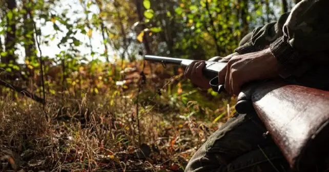 L'éthique de la chasse : tradition vs. conservation