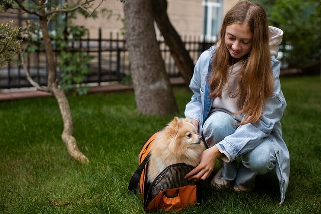 Jeune fille avec son chien de compagnie