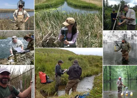 Un collage montrant des spécialistes de l'eau du US Fish and Wildlife Service au travail sur le terrain
