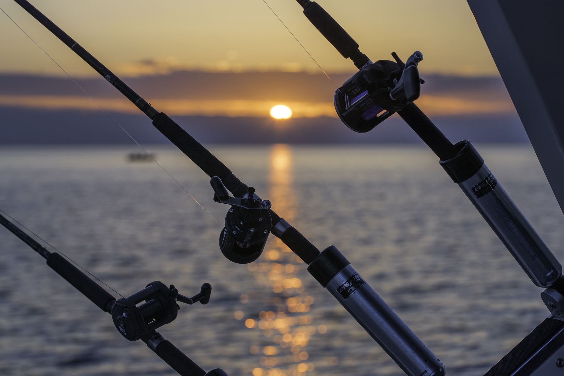 cannes à pêche en haute mer