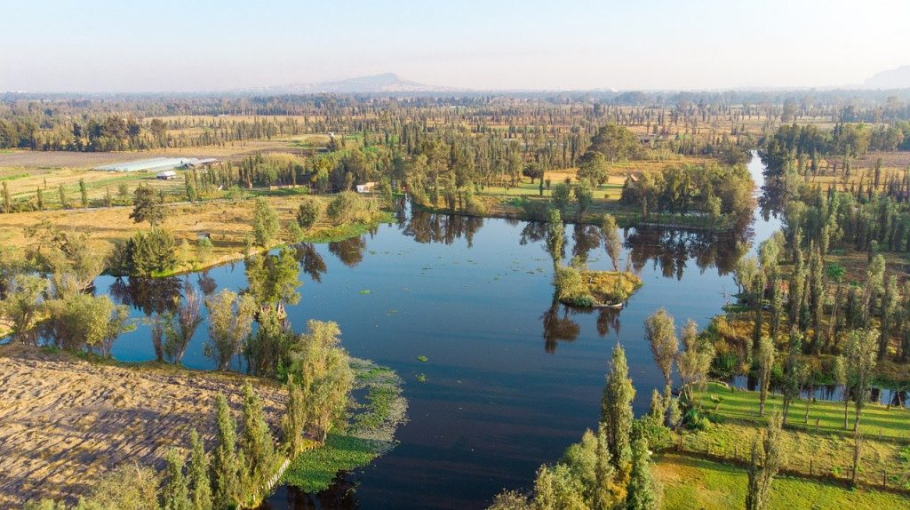 Lac Xochimilco