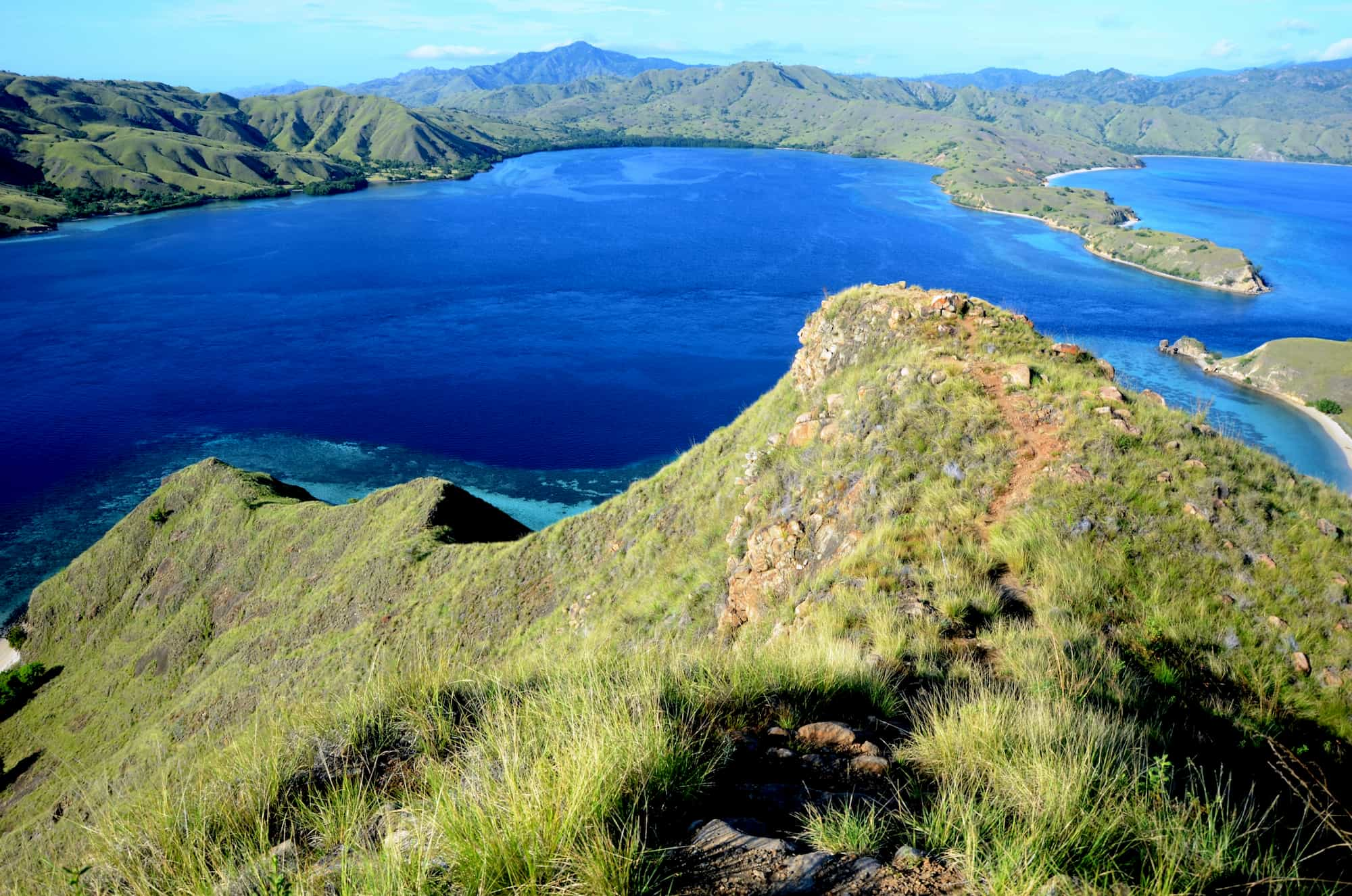 Une vue sur le parc national de Komodo avec des îles herbeuses et de l'eau visible.