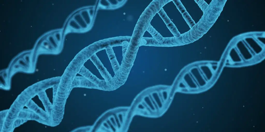 adn génie génétique CRISPR