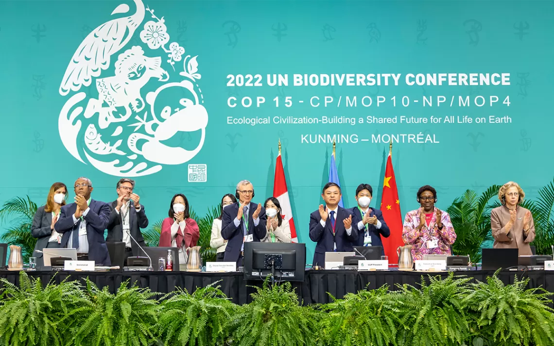 Adoption du Cadre mondial de la biodiversité de Kunming Montréal