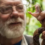 Chasse aux grenouilles sur les îles dans le ciel