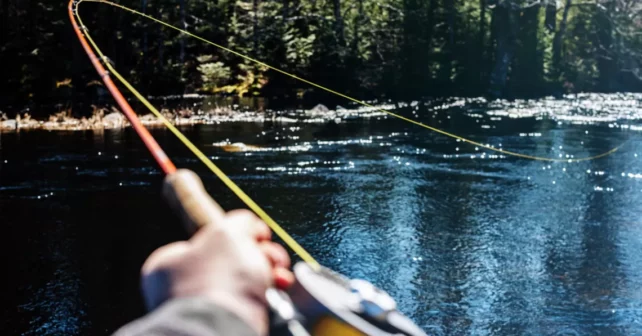 Une canne à pêche à la mouche avec une ligne s'étendant sur la surface d'un ruisseau.