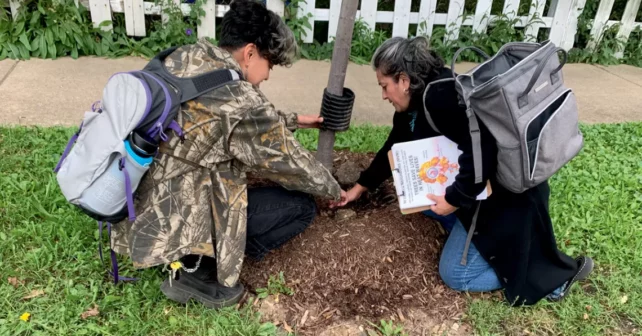 Citlally Fabela et Dulce Garduno s'accroupissent pour examiner le paillis autour d'un arbre récemment planté.  Une clôture blanche est à l'arrière-plan.